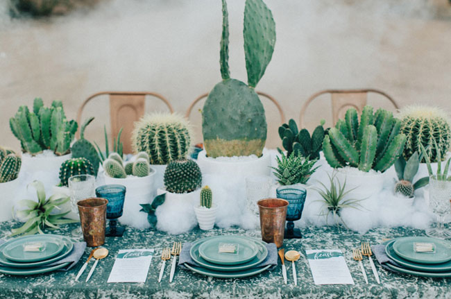 cactus en tu boda